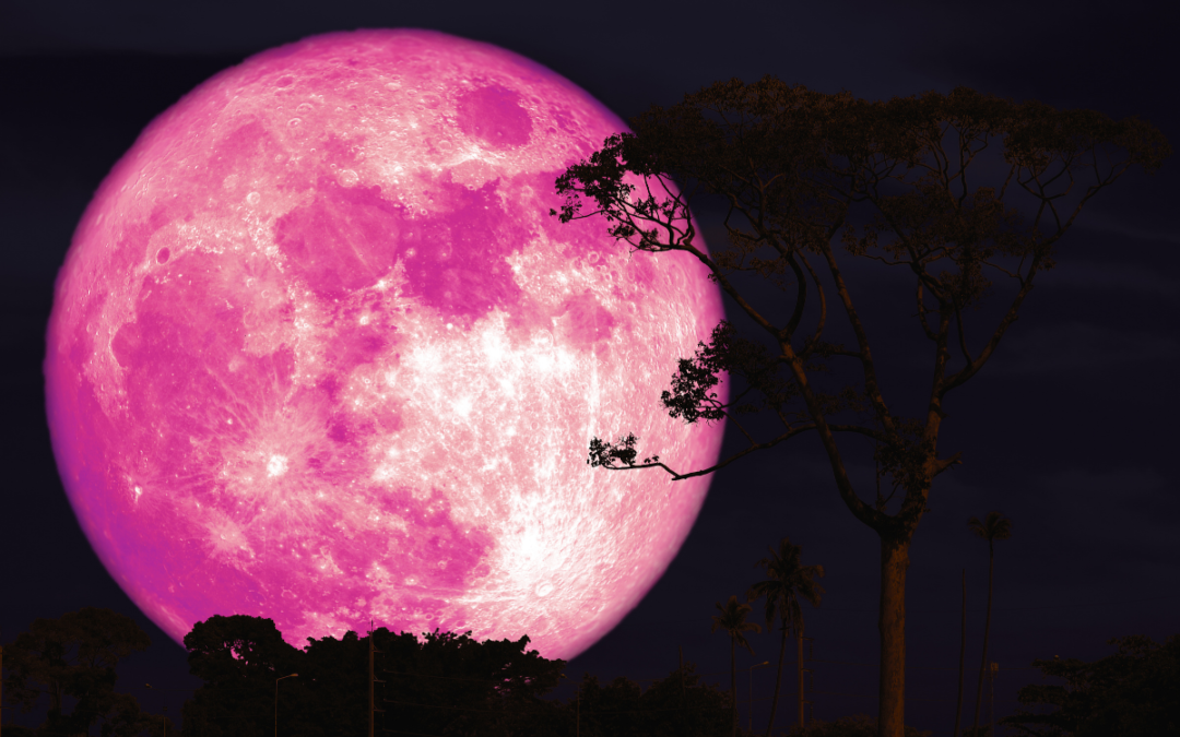 Sleep in the Age of Overstimulation